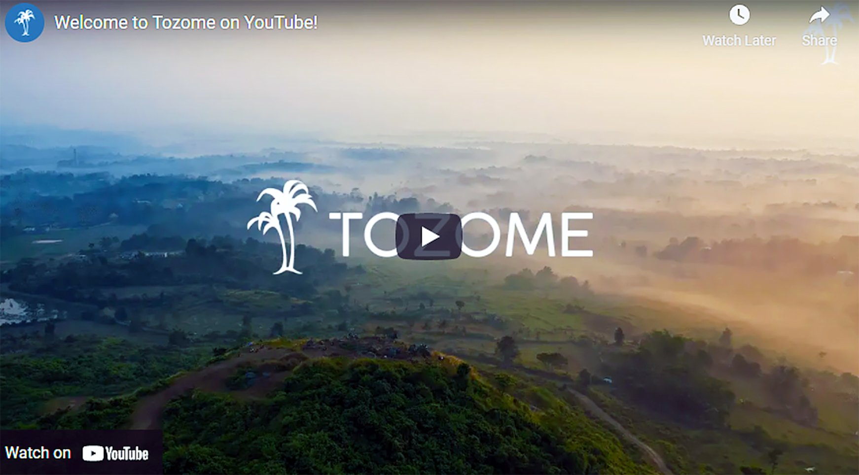 Tozome
